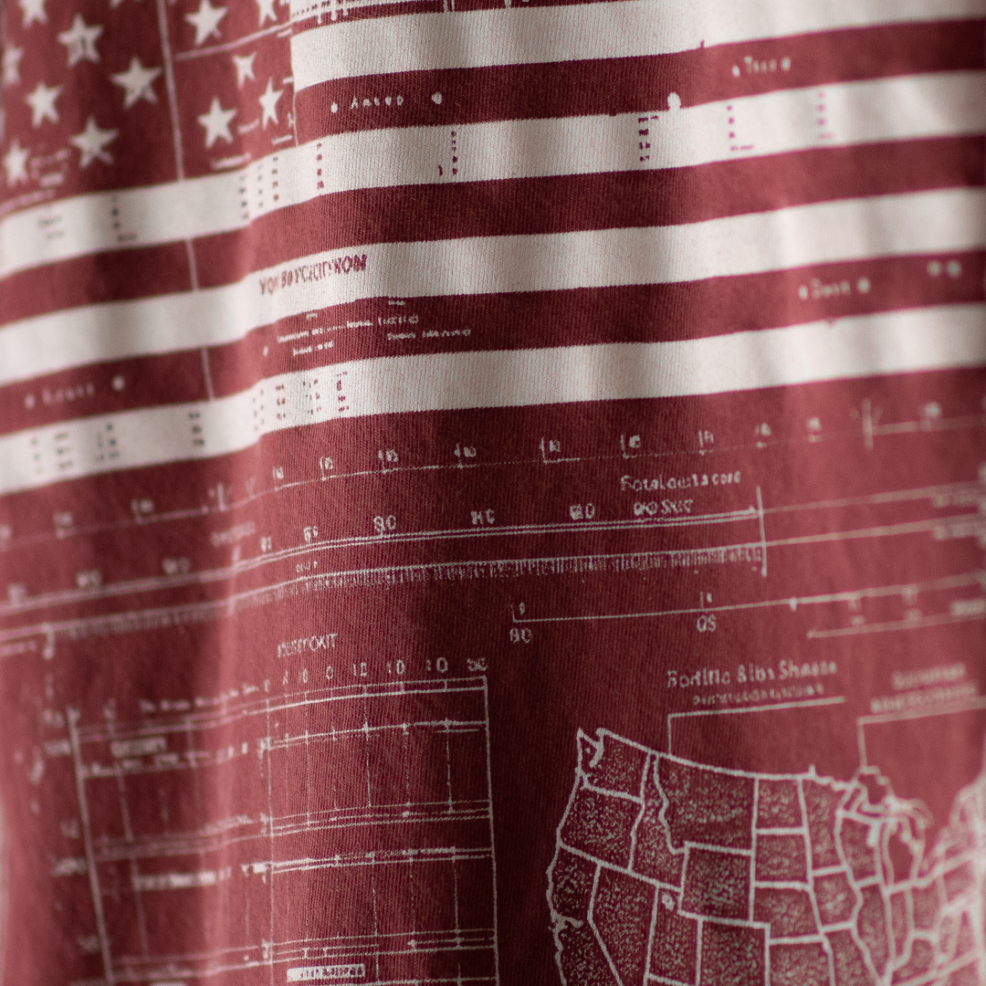 Land of the Free - Comfort Colors