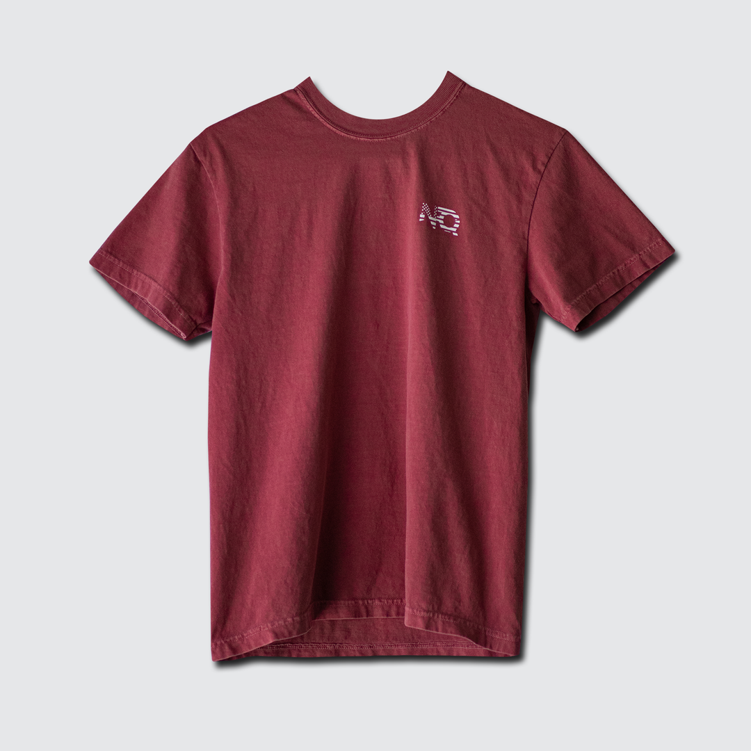 Land of the Free - Comfort Colors